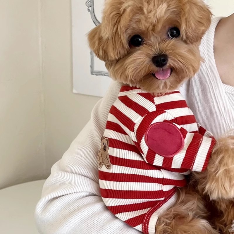 Striped Puppy Shirt Dog Summer - Sleeveless Undershirt recension och pris
